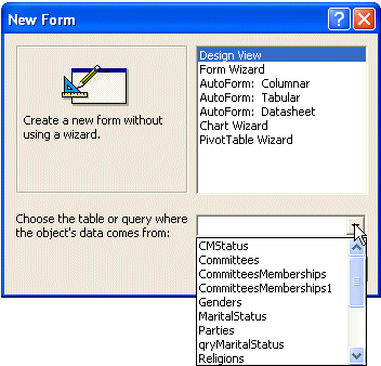 Selecting an object from the New Form's combo box
